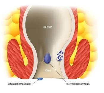 Multifunctional therapy handpiece