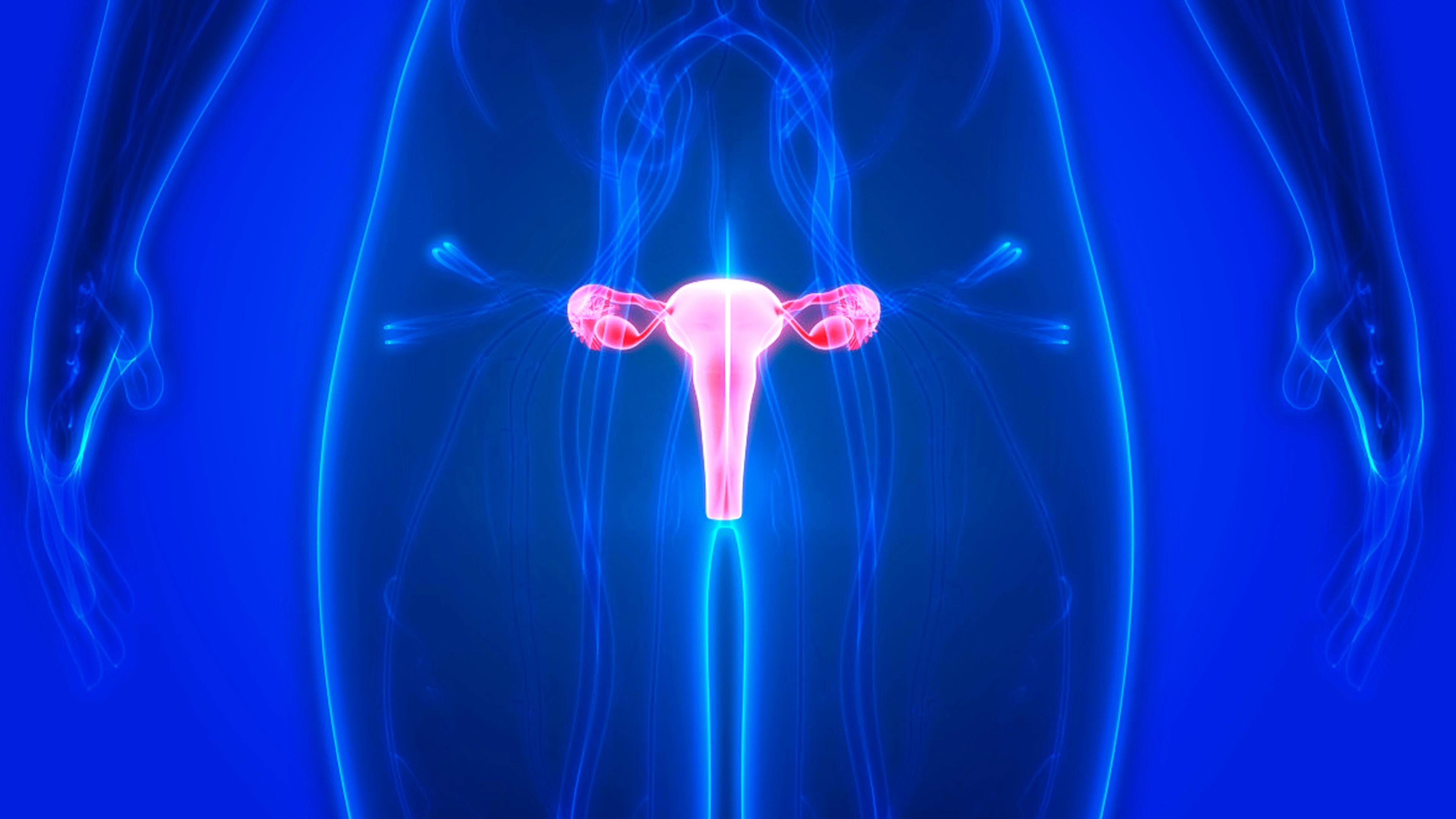 Cosmetic Gynaecology